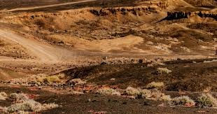 利物浦不只是冠军 · 4小时前 · 1022阅读